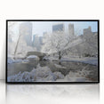 Framed acrylic print of a large abstract depiction of Central Park with muted green and blue tones.