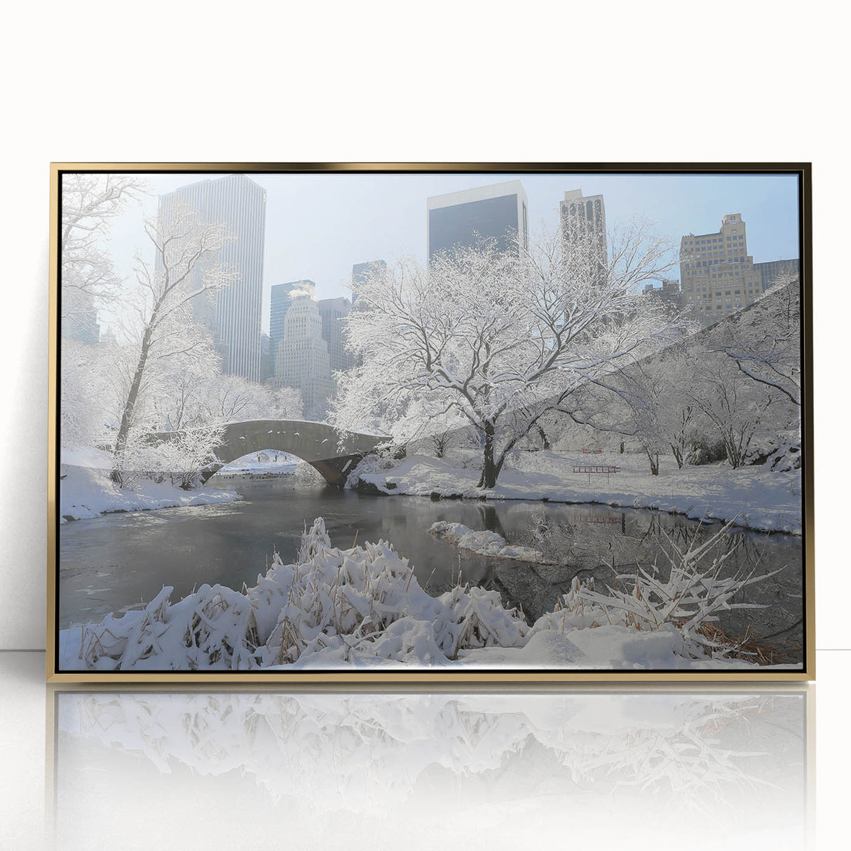 Large art print of Central Park with autumn trees in muted gold tones, framed in acrylic, suitable for modern art wall decor.