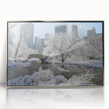 Mid-century modernist art depicting Central Park with autumn colors on a silver-framed acrylic print.