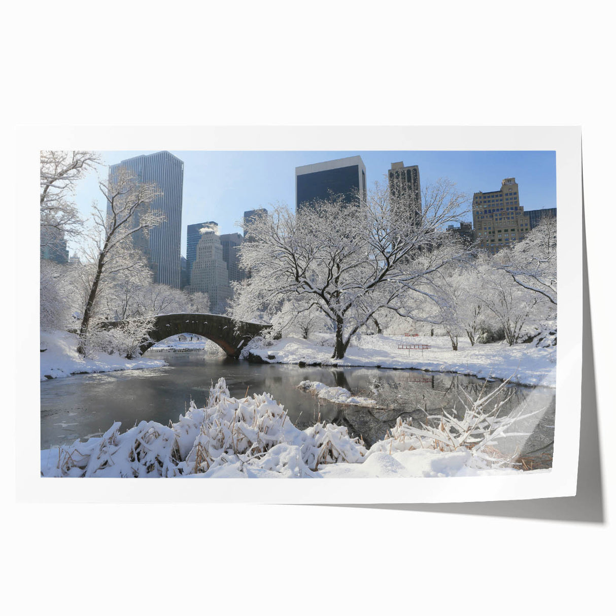 Extra large rolled print of Central Park in muted green and brown tones, ideal for art wall dining room.