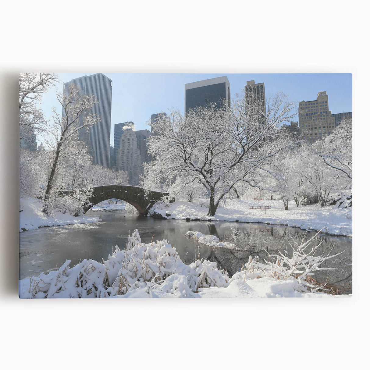 Black and white stretched canvas of Central Park, ideal for kitchen wall art.