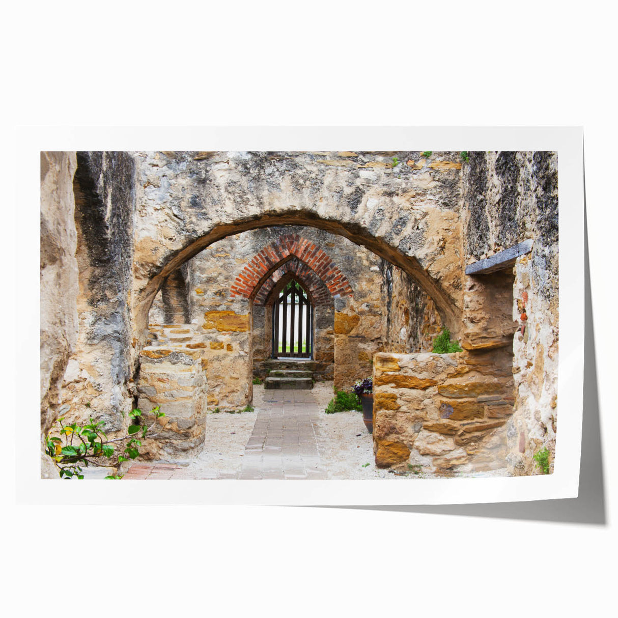 Rolled print of San Antonio scenery with floral elements in soft color tones, ideal for art wall dining room.