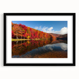 Extra large framed abstract art print featuring textured, colorful shapes, ideal for living room decor.