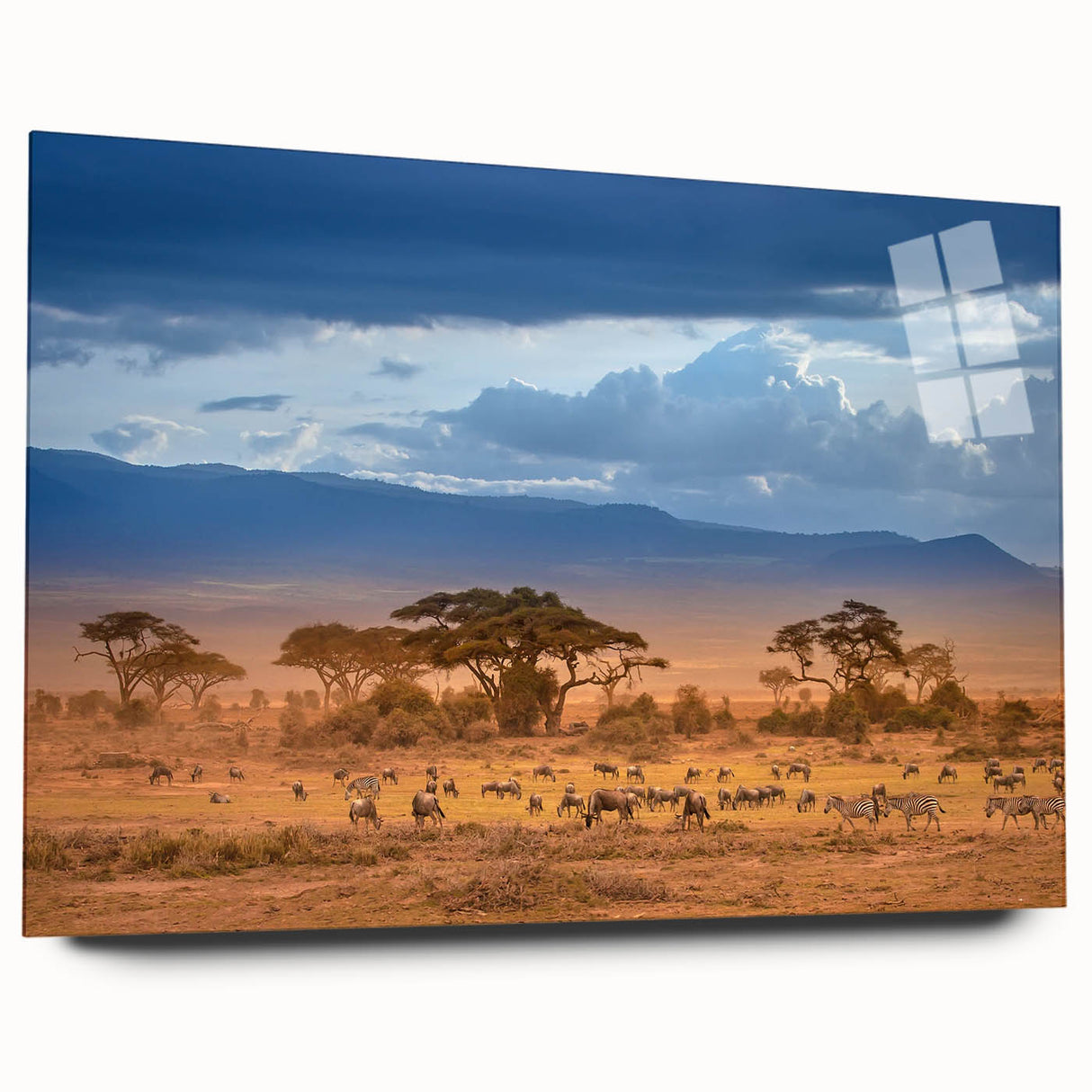 Large abstract wall art of the African Kenya scenery in vibrant earth tones on acrylic glass.