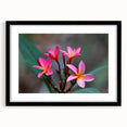 Extra large abstract art print depicting colorful, textured scenery of Madagascar on a black framed canvas.