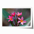 Extra large rolled print depicting a scenic view of Madagascar with vibrant greenery and floral elements.