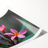 Extra large wall art featuring line art flowers in muted earth tones on a rolled canvas.