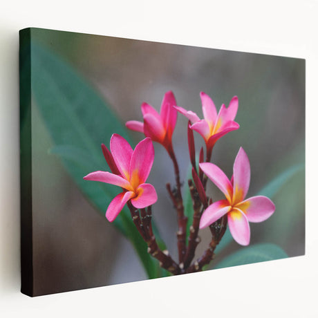 Large canvas print of a Madagascar landscape in earthy tones, ideal for kitchen wall art.