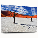 Acrylic print of a Namibian landscape, showcasing earthy tones and a panoramic format.