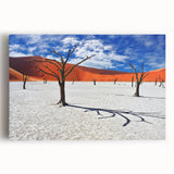 Black and white photograph of an expansive Namibian landscape on large stretched canvas, ideal for kitchen wall art.