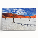 Black and white photograph of an African savannah on stretched canvas, ideal for kitchen wall art or bedroom ambiance.