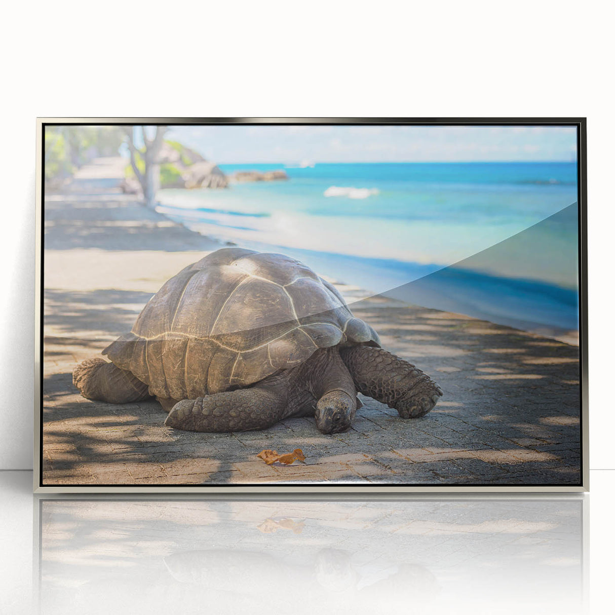 Large acrylic print of Seychelles scenery in mid-century modernist style with muted blue and green tones.