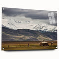 Acrylic print of a large abstract Mongolian landscape in muted earth tones, suitable for dining room decor.
