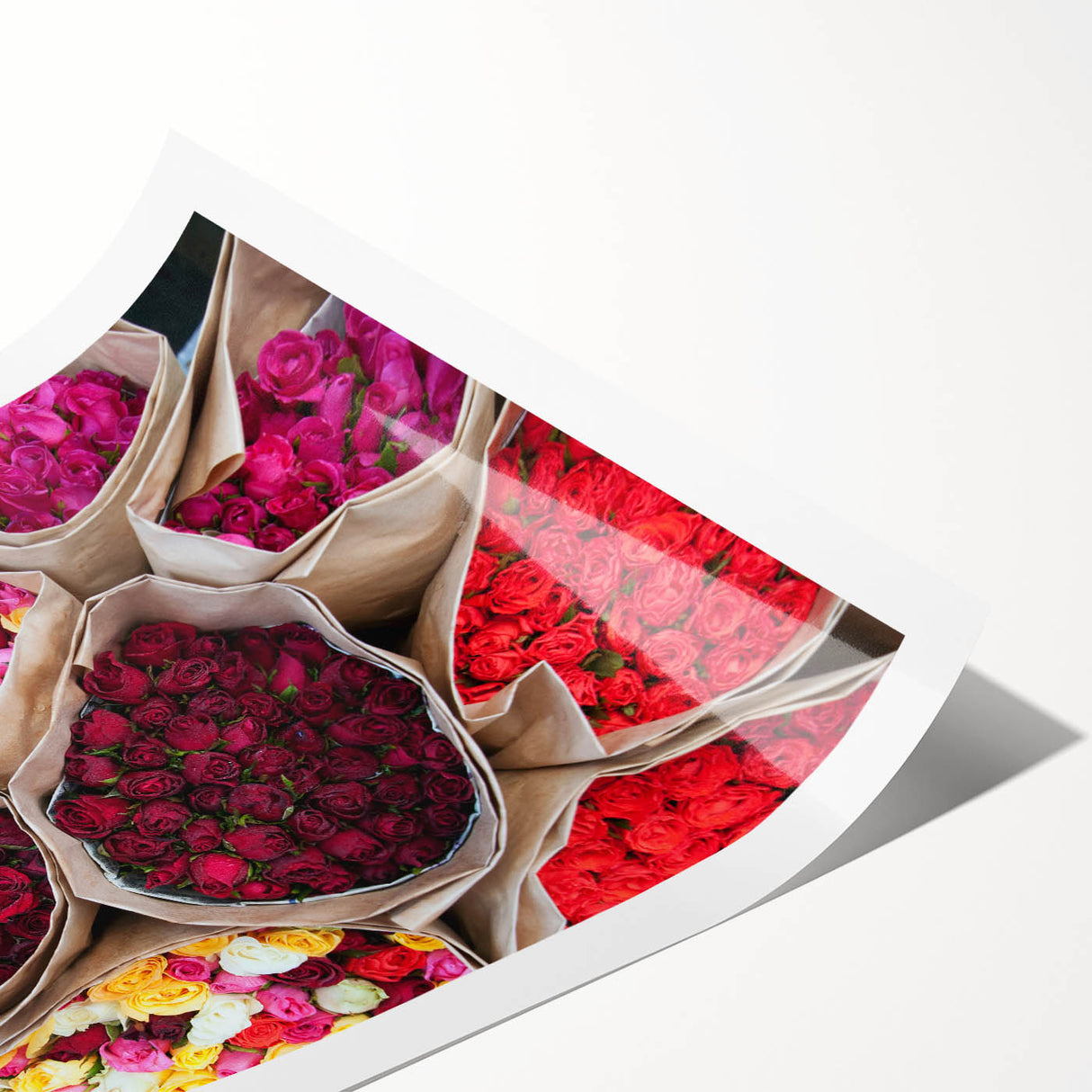 Extra large wall art featuring line art flowers, in muted earth tones on a rolled canvas.