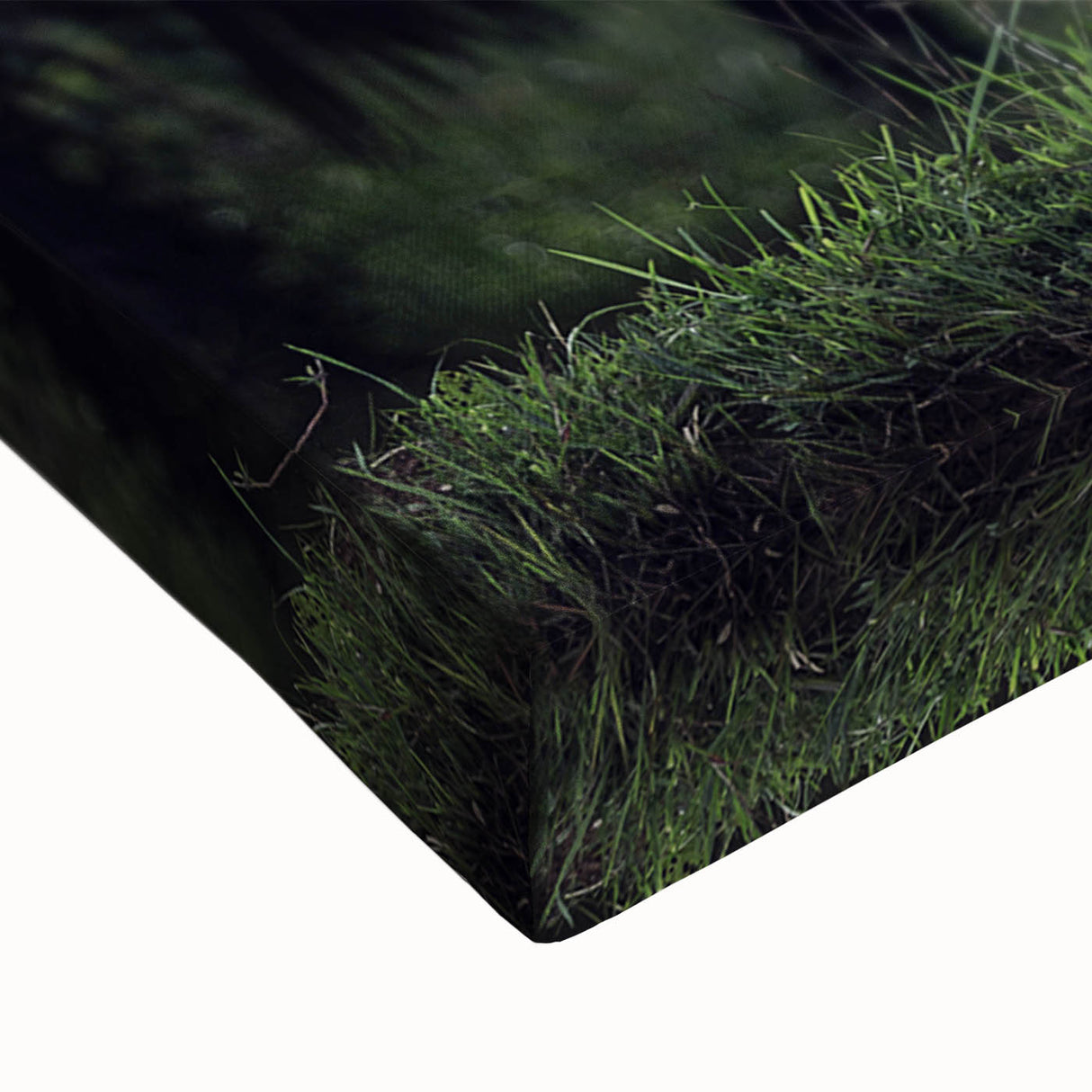 Black and white landscape painting of a serene Thai scenery on large stretched canvas, suitable for bedroom decor.