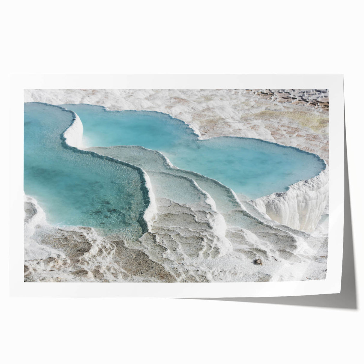 Extra large rolled print of a floral scene in soft pastel shades, ideal for art wall dining room or classy bathroom decor.