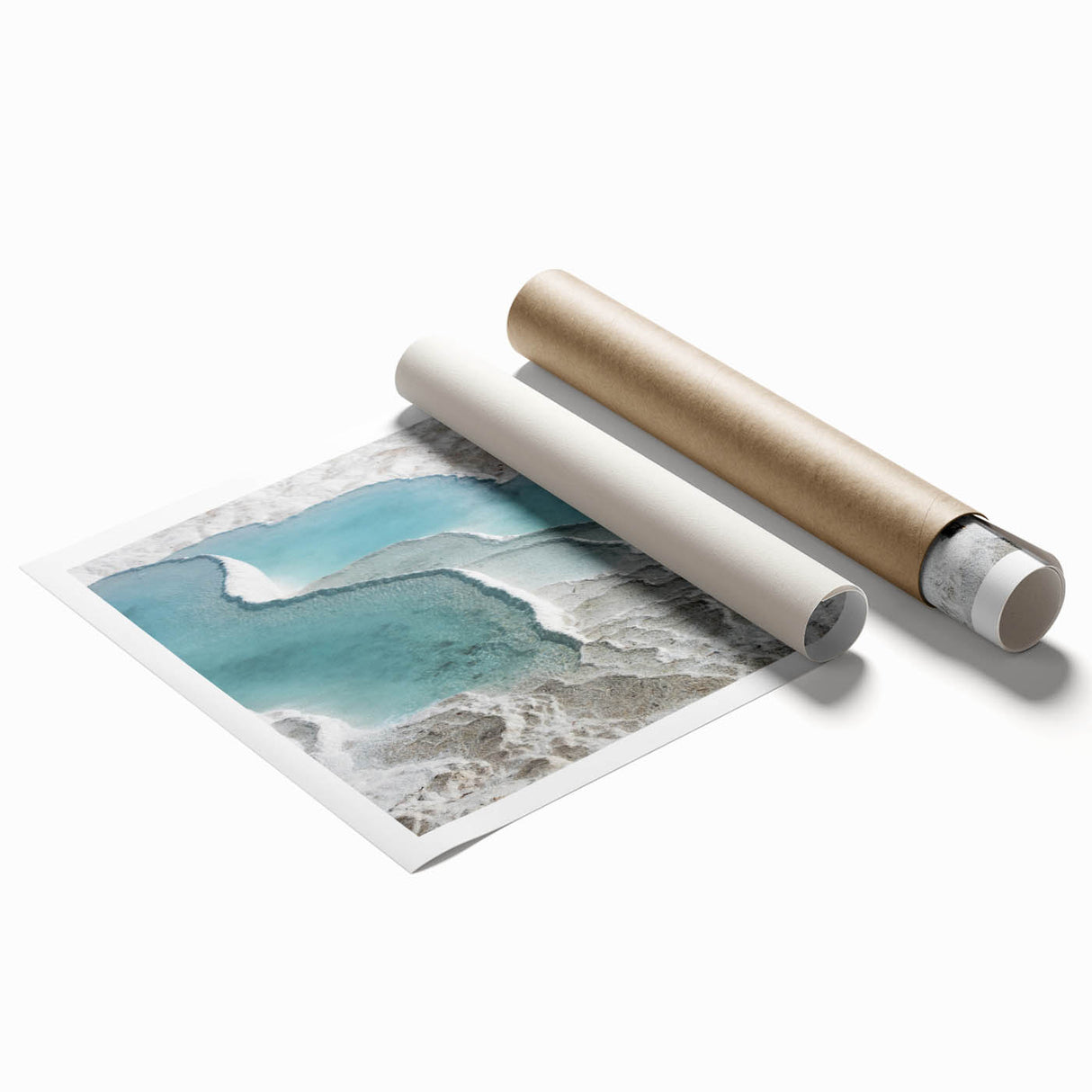 Extra large rolled print featuring a floral art design with vibrant colors, ideal for classy bathroom wall art.