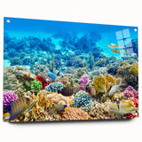 Acrylic print of the Great Barrier Reef in vivid blue and green tones, ideal for dining room decor.