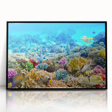 Large abstract wall art of the Great Barrier Reef in vibrant blue and green tones on a framed acrylic.