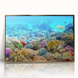 Mid-century modernist art of the Great Barrier Reef in vibrant blues and greens on a framed acrylic panel.