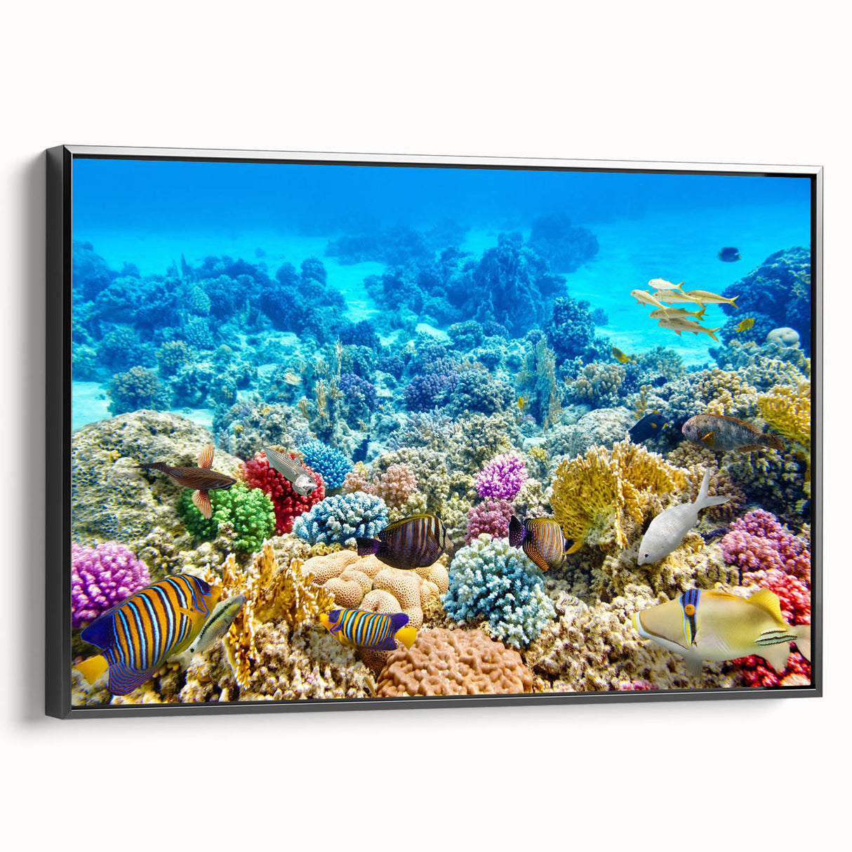 Black and white framed canvas of the Great Barrier Reef, ideal for bedroom landscape art.