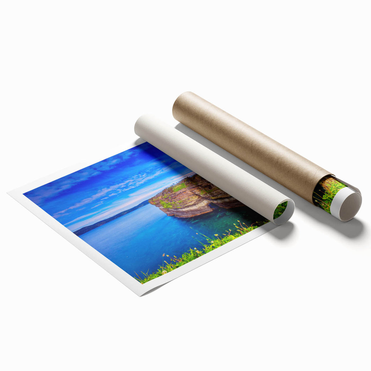 Extra large rolled print of vibrant floral art featuring Newfoundland scenery, ideal for classy bathroom wall art.