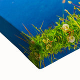 Large art of a black and white Newfoundland landscape on stretched canvas, ideal for bedroom wall decor.