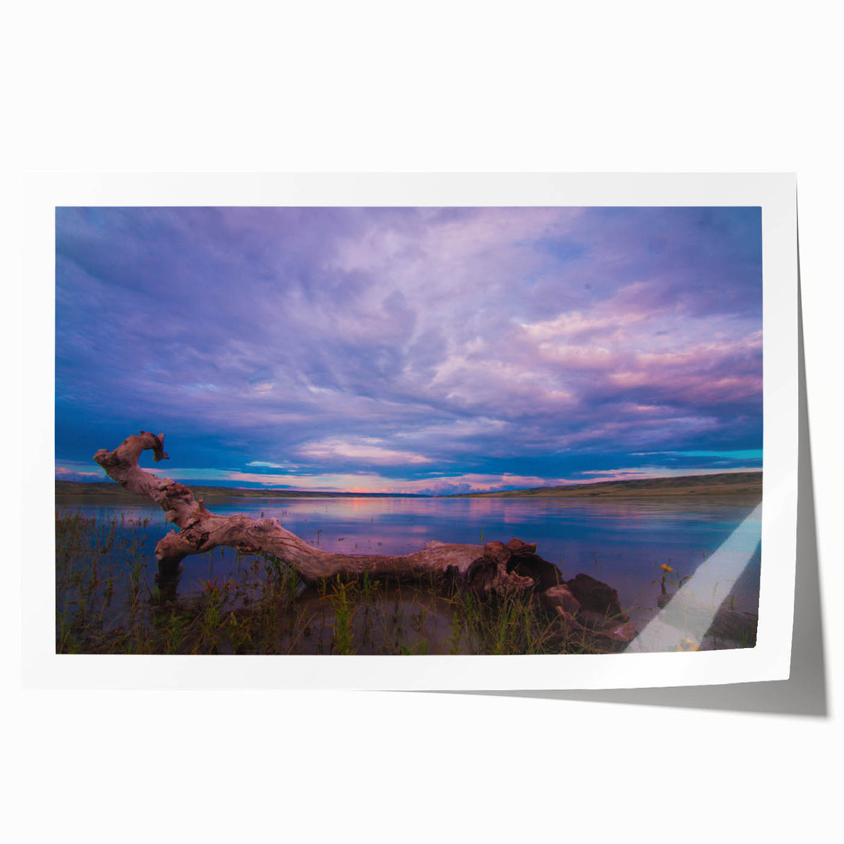 Rolled print of Saskatchewan scenery with vibrant green fields and blue skies, ideal for art wall dining room.