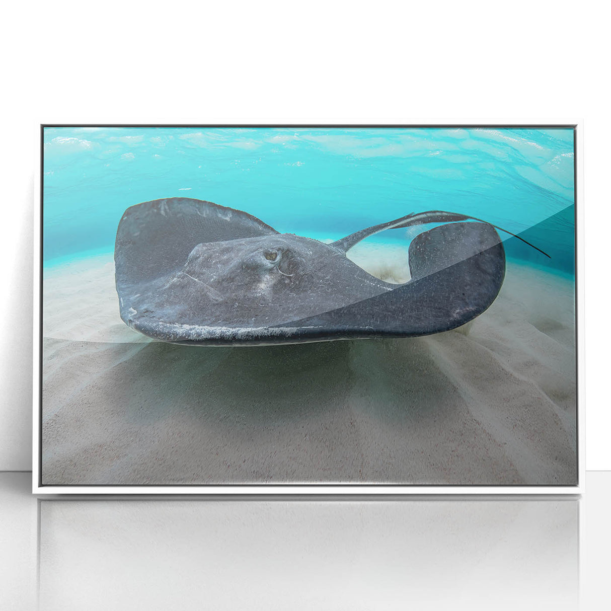 Mid-century modernist art depicting a Caribbean scenery on a framed acrylic print, suitable for nursery wall decor.