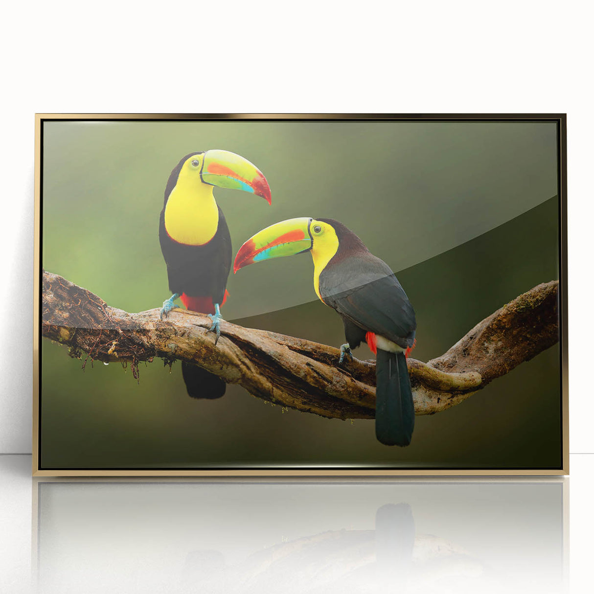 Mid-century modernist style large art print of Central America scenery, in acrylic frame with gold tones.