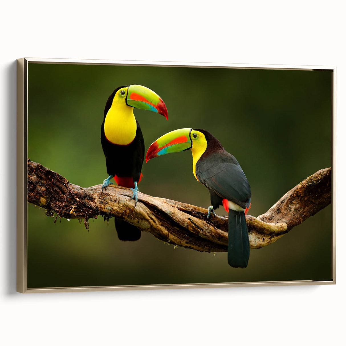 Framed canvas featuring a vintage-style landscape painting of Belize with lush greenery and a golden frame.