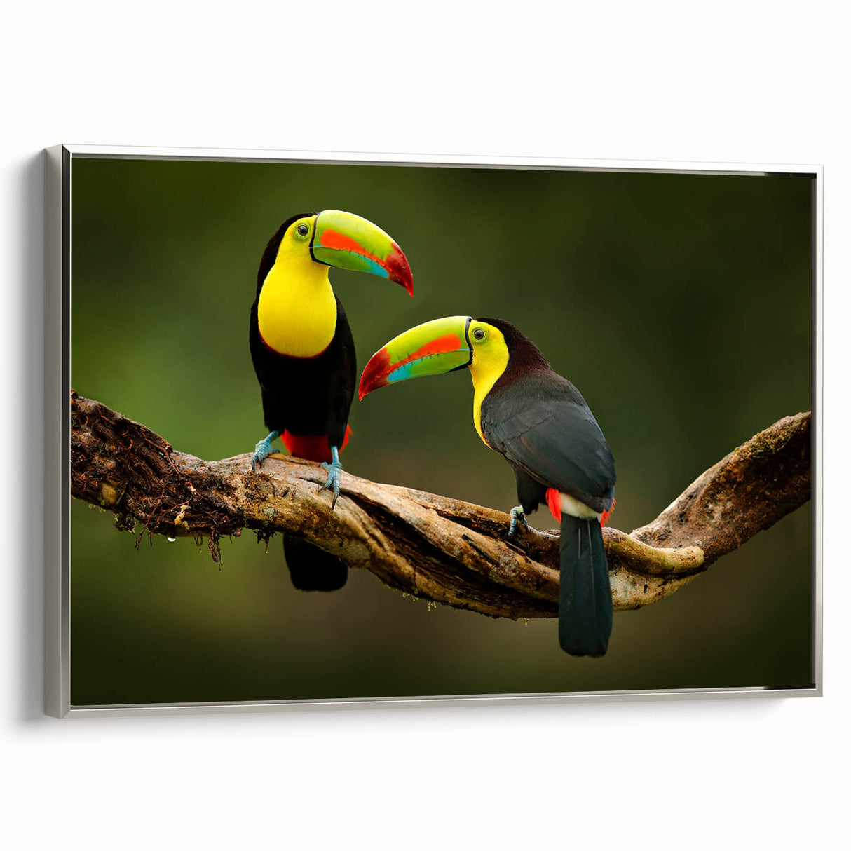 Framed canvas depicting a vintage-style landscape of Central America with vibrant, colorful art on a black background.
