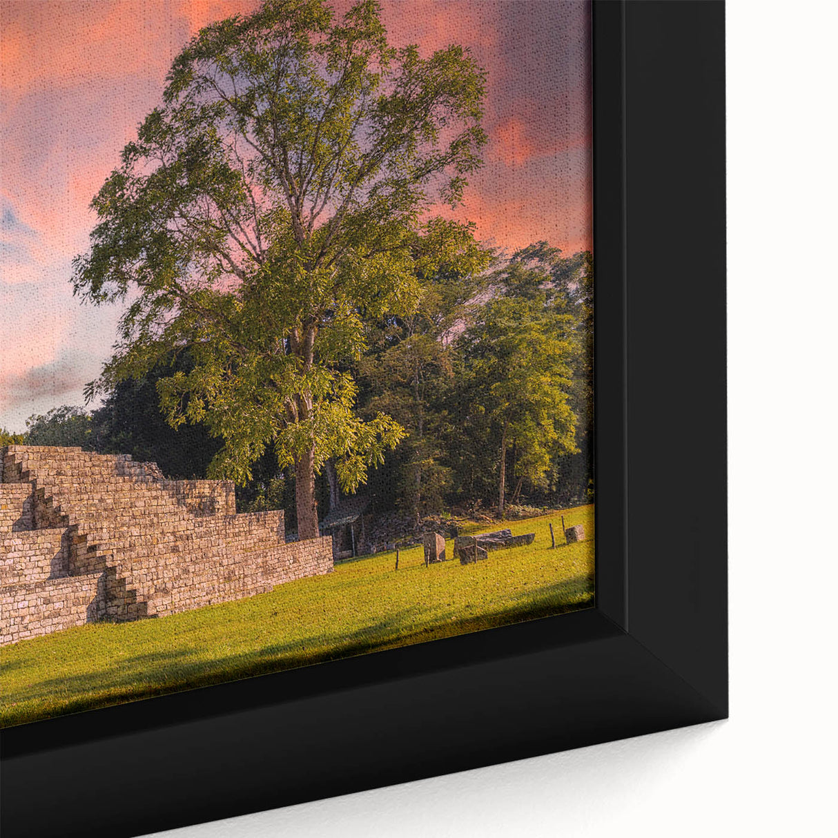 Black wall art featuring a textured close-up of a Honduran landscape on a framed canvas, ideal for living room decor.