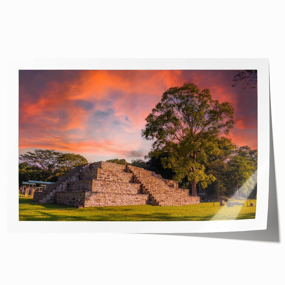 Extra large rolled print of a Central American landscape with vibrant floral elements, ideal for art wall dining room.