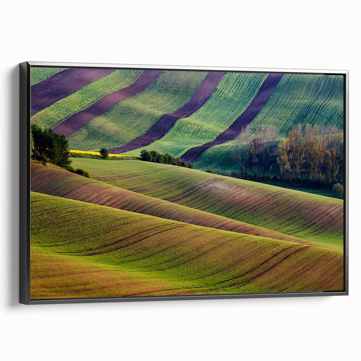 Black and white framed canvas of a vintage Czech Republic landscape, ideal for bedroom wall art.