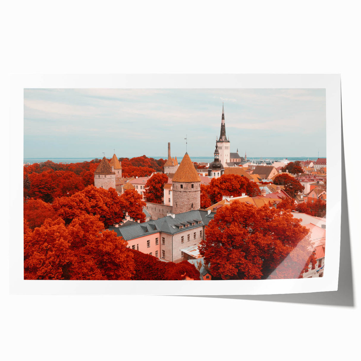Rolled print of a European Estonian scenery with vibrant floral elements, ideal for art wall dining room.