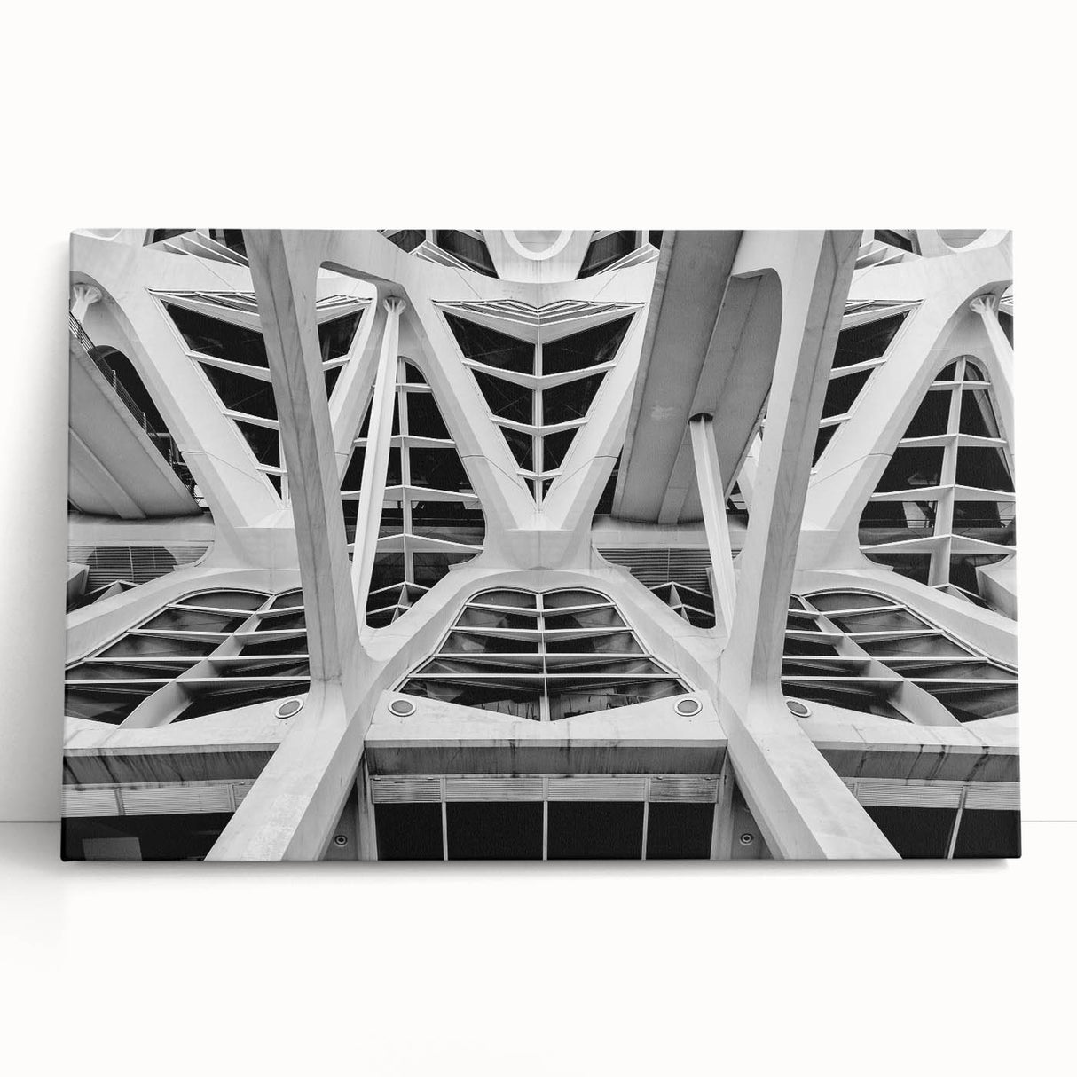 Large black and white canvas of Valencia scenery, ideal for kitchen wall art or bedroom ambiance.