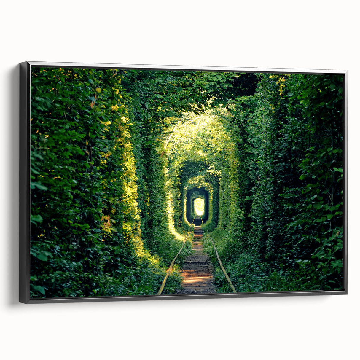 Black and white framed canvas of a vintage landscape painting depicting a serene Ukrainian scenery.