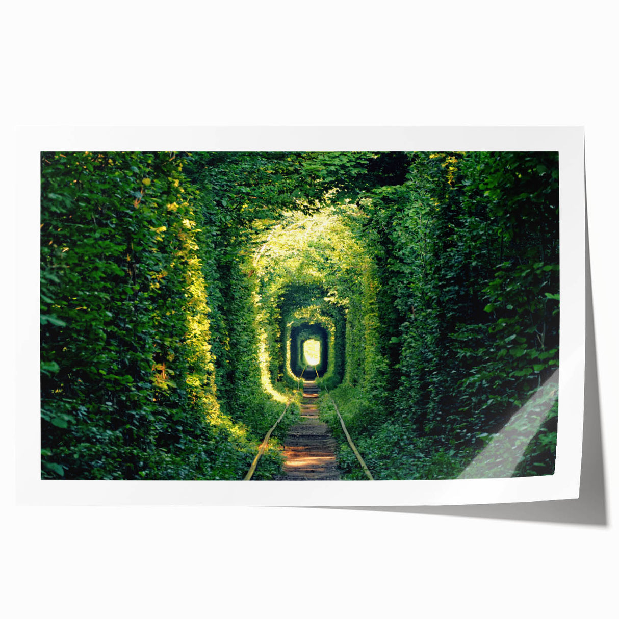 Extra large rolled print of a serene Ukrainian landscape with vibrant green fields and a clear sky.