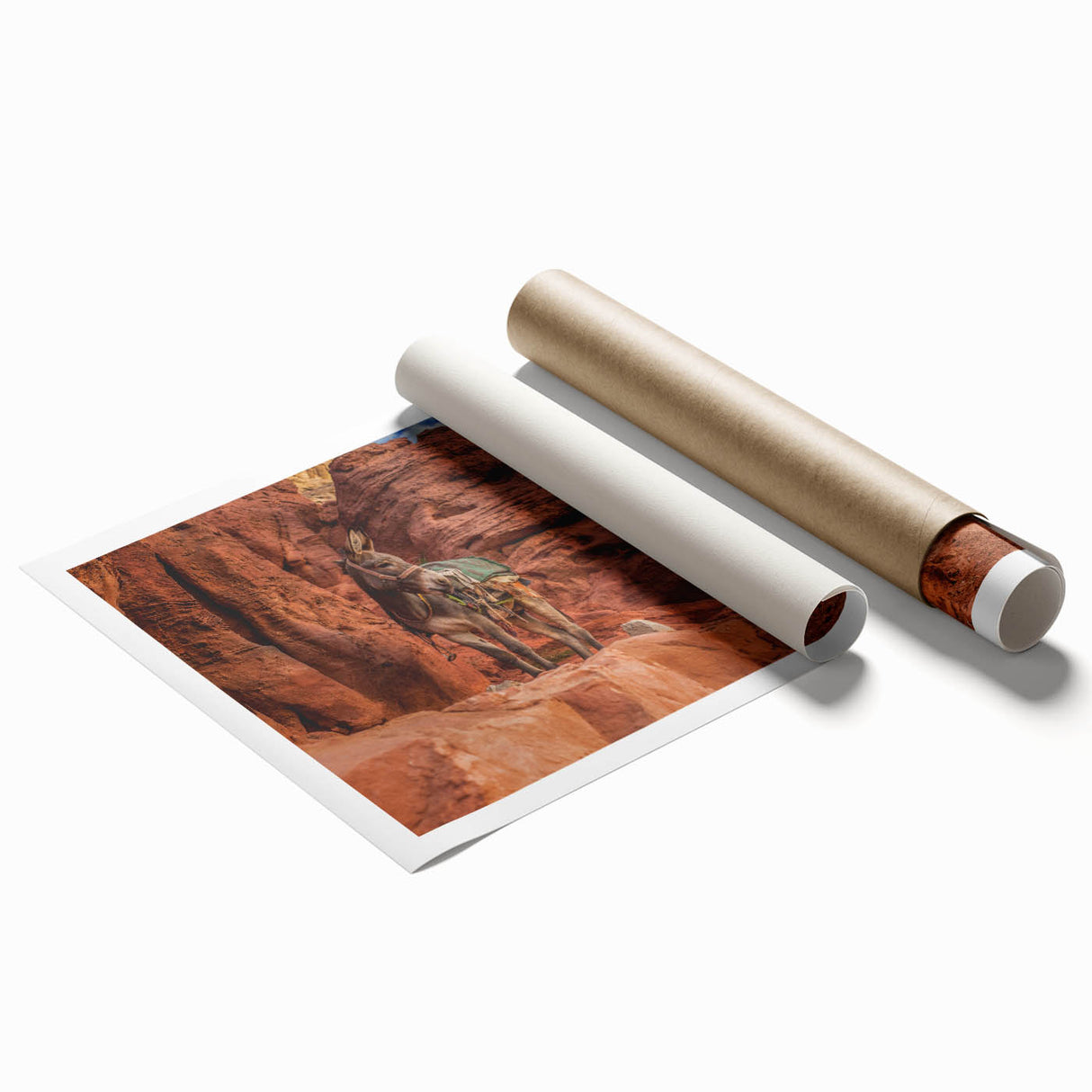 Extra large rolled print featuring a floral art design with soft pastel shades.