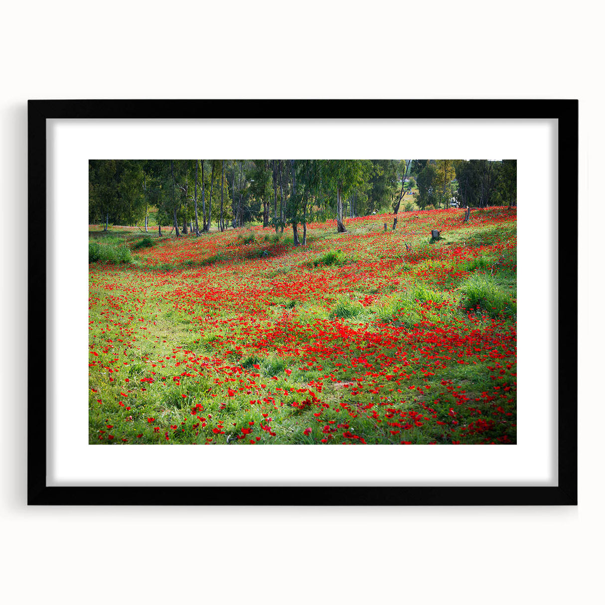 Extra large abstract art print featuring a colorful, textured depiction of a Middle Eastern scenery on a framed black mat.