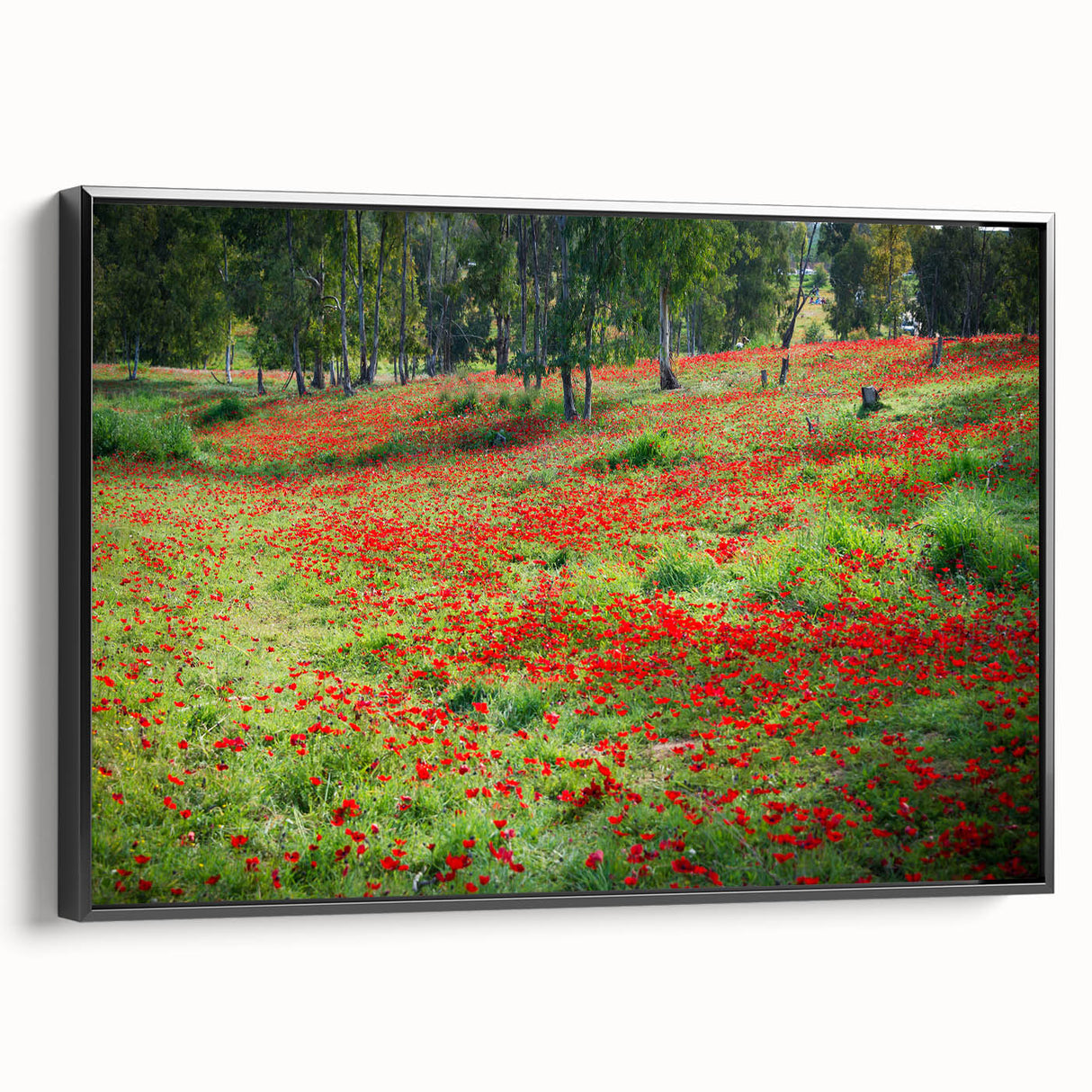 Black and white framed canvas of a Middle Eastern landscape, ideal for bedroom wall decor.
