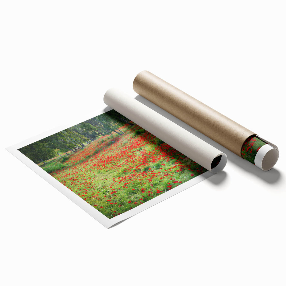 Extra large rolled print featuring a Middle Eastern scenery with muted floral motifs, ideal for classy bathroom wall art.