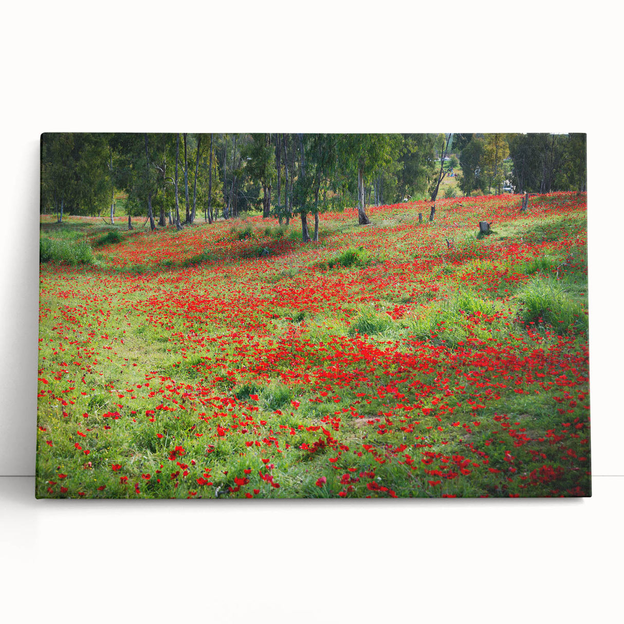 Black and white stretched canvas of a Middle Eastern scenery, suitable as large kitchen wall art or for bedroom ambiance.