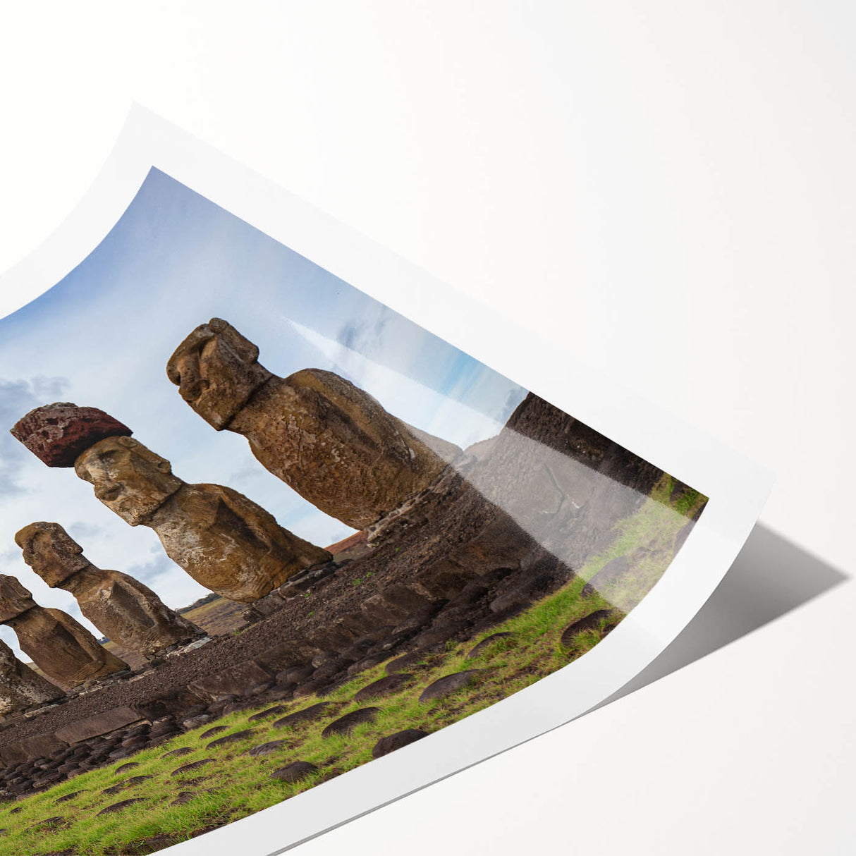Extra large wall art featuring line art flowers and Easter Island scenery in muted earth tones on rolled print.