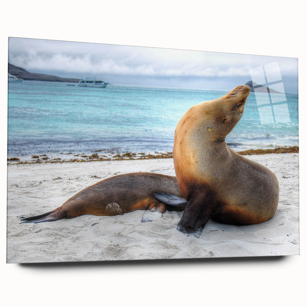 Large abstract wall art depicting the Galapagos scenery on acrylic glass, ideal for bedroom or dining room decor.