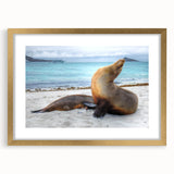 Extra large abstract art print of the Galápagos scenery, in gold frame, ideal for living room decor.