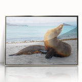 Mid-century modernist art depicting the Galapagos scenery in silver-framed acrylic, ideal for nursery wall art.