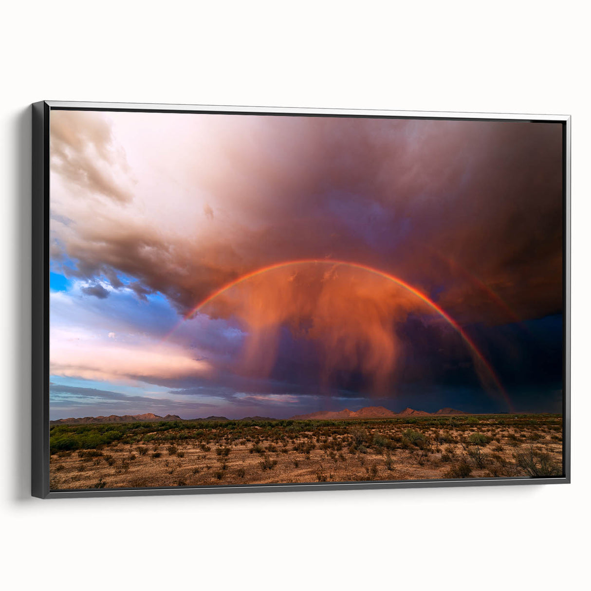 Black and white framed canvas of Sonoran desert landscape, ideal for bedroom wall art.