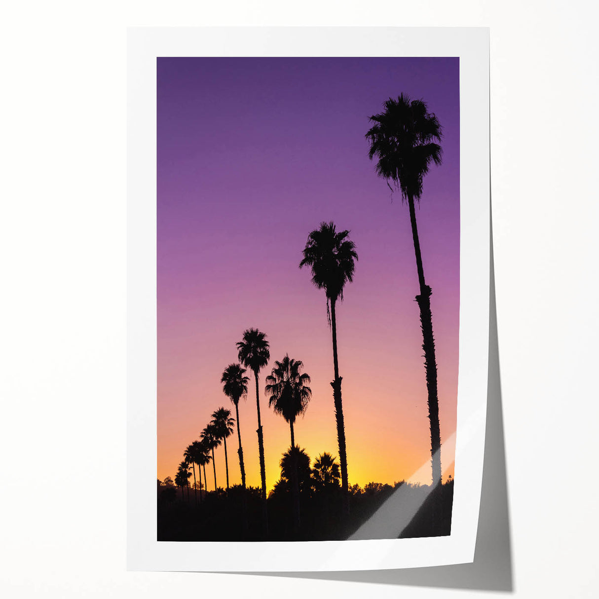 Extra large rolled print featuring a scenic Beverly Hills view with vibrant green flora, perfect for art wall dining room.